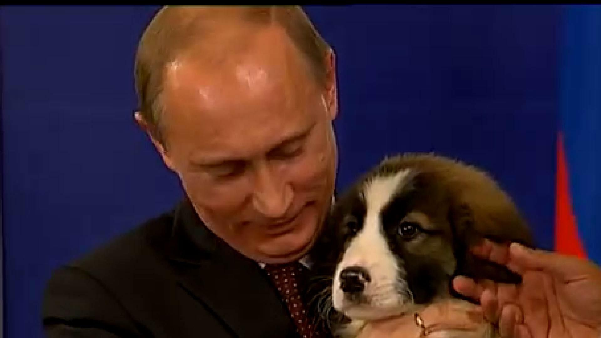 Как Путин собак дарит