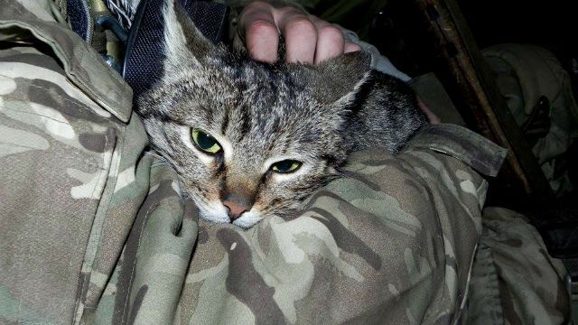 "Донбасс" показал свое пополнение "Донбасс" показал свое пополнение