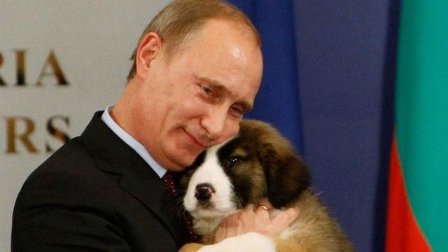 Путін божиться: не атакуватиме Україну, бо "має чим зайнятись" Путін божиться: не атакуватиме Україну, бо "має чим зайнятись"