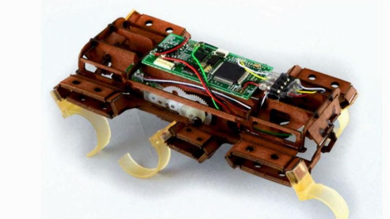 Американці створили супершвидкого робота-таргана Американці створили супершвидкого робота-таргана