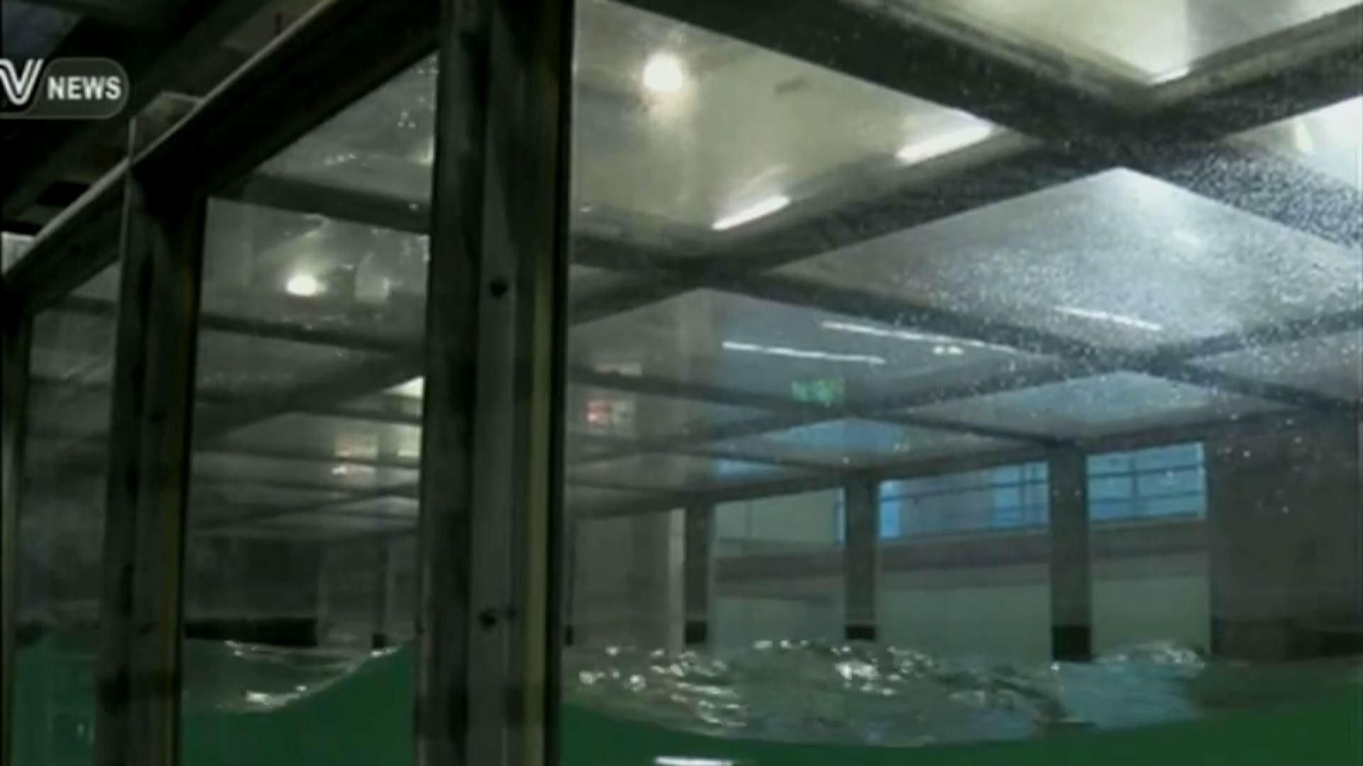 В університеті Маямі — ураган В університеті Маямі — ураган