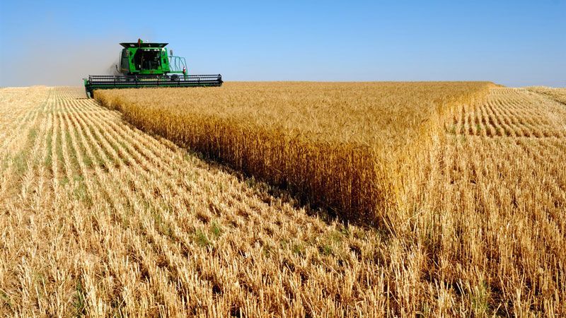 В США посчитали сколько урожая потеряет Украина из-за войны