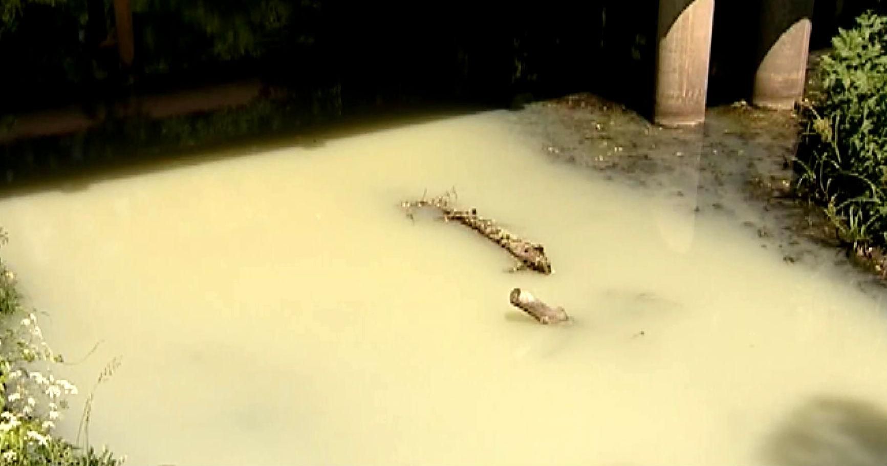 "Молочні" ріки бентежать жителів Харківщини "Молочні" ріки бентежать жителів Харківщини