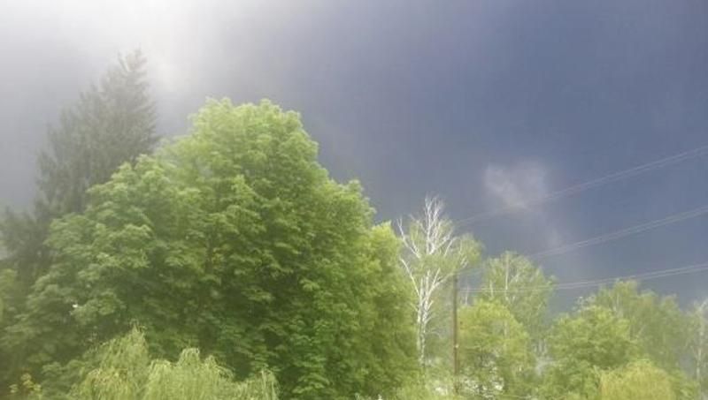 В Киевской области выпал черный дождь В Киевской области выпал черный дождь