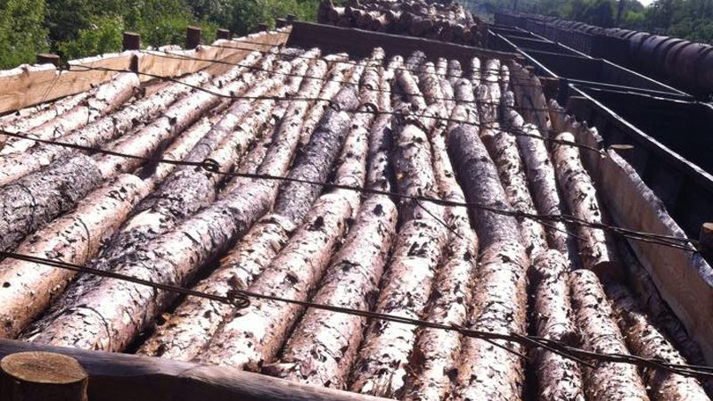 В 12 км от оккупированных территорий задержан поезд с контрабандным лесом В 12 км от оккупированных территорий задержан поезд с контрабандным лесом