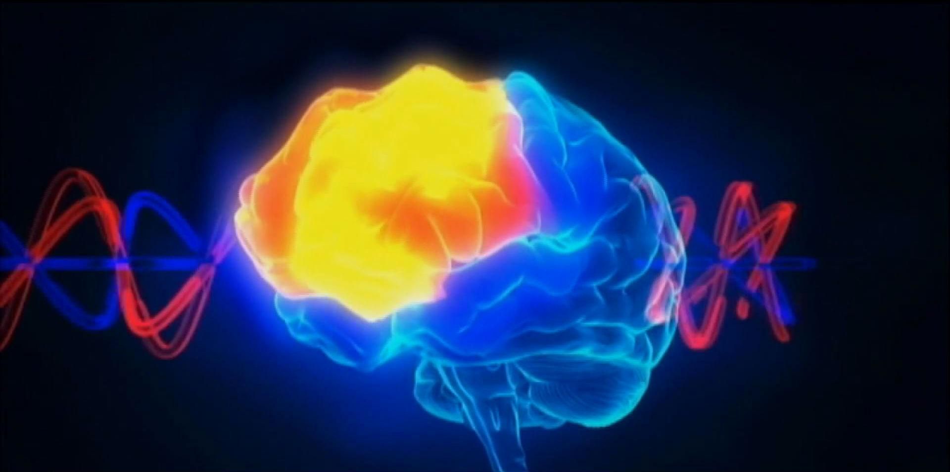 Секретные материалы. Ваш мозг, мысли и действия уже контролируют спецслужбы Секретные материалы. Ваш мозг, мысли и действия уже контролируют спецслужбы