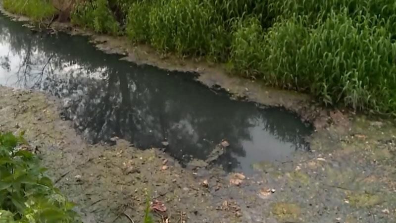 Бездіяльність чиновників у Калінінграді: стічні води забруднюють Балтійське море Бездіяльність чиновників у Калінінграді: стічні води забруднюють Балтійське море