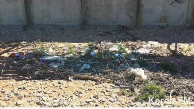 Удручающие пляжи Крыма: горы мусора и мертвые дельфины Удручающие пляжи Крыма: горы мусора и мертвые дельфины