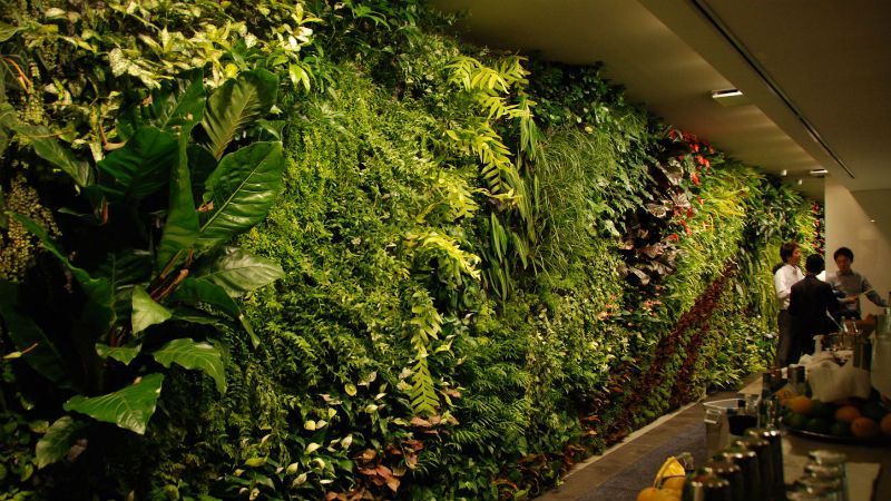 Вертикальні сади: неймовірне єднання міста та природи у роботах Бланка Вертикальні сади: неймовірне єднання міста та природи у роботах Бланка