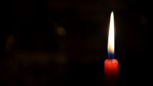 На Луганщині знайшли тіло мертвого бійця, який підірвався на розтяжці На Луганщині знайшли тіло мертвого бійця, який підірвався на розтяжці