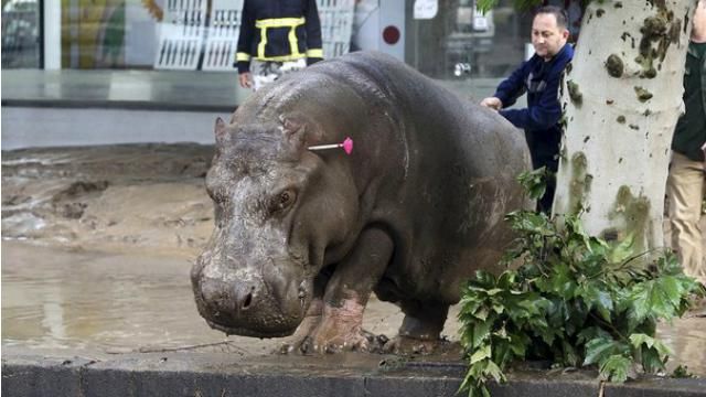 Топ-новини за вихідні: Наливайченка не пустили до США, смертельна повінь у Тбілісі Топ-новини за вихідні: Наливайченка не пустили до США, смертельна повінь у Тбілісі