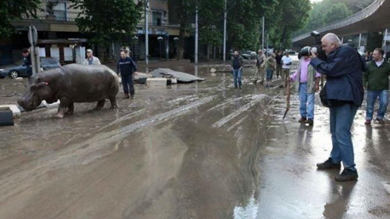 Грузія через повінь зазнала збитків на 18 мільйонів доларів