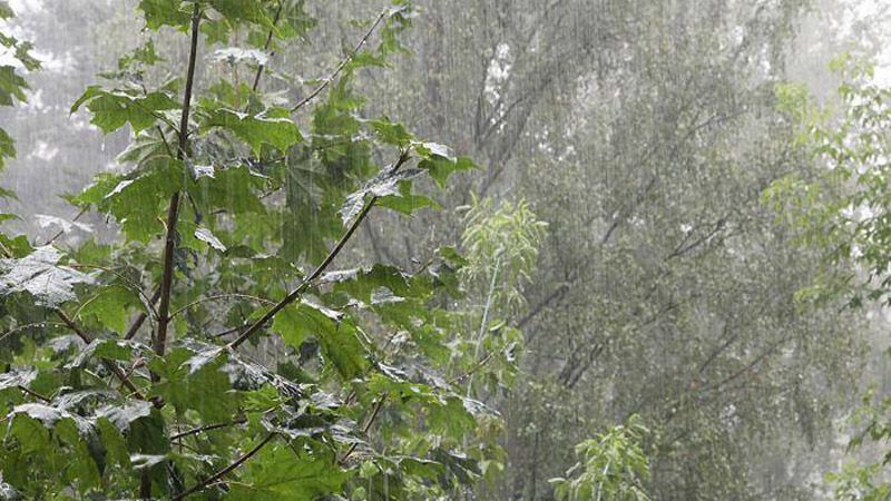 Закарпатью грозит наводнение Закарпатью грозит наводнение