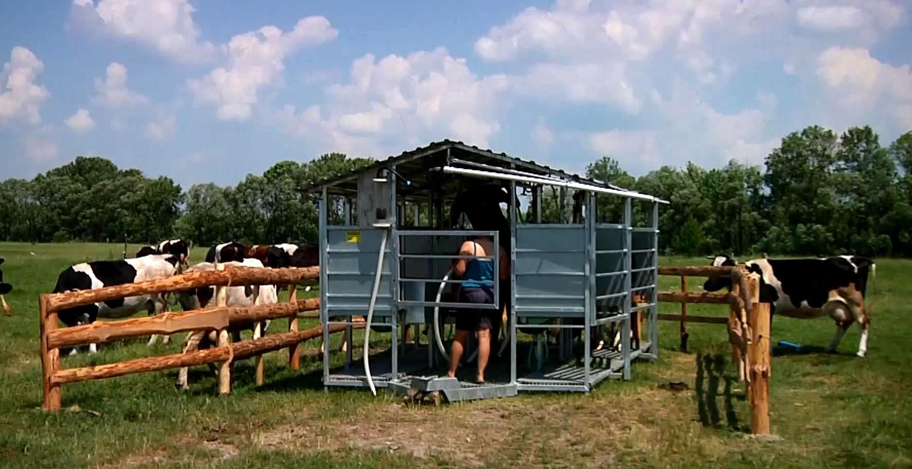 В Украине возрождается кооперативное движение В Украине возрождается кооперативное движение