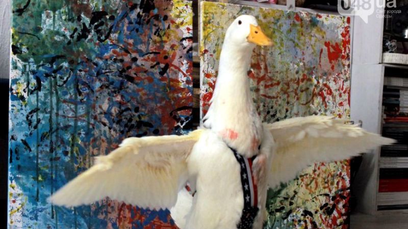 Утенок рисует картины в Одессе, которые покупают за 100 долларов Утенок рисует картины в Одессе, которые покупают за 100 долларов