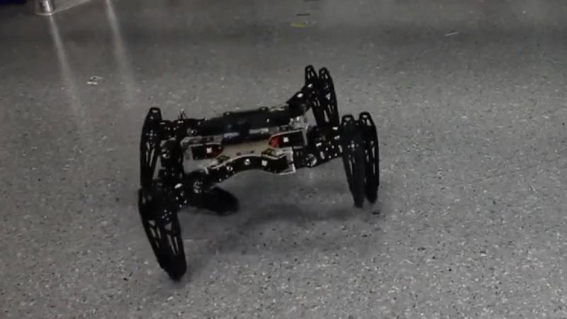 Ученые спроектировали паука-терминатора Ученые спроектировали паука-терминатора