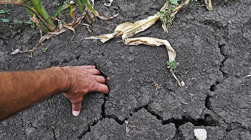 На Крым свалилось еще одно несчастье — из-за недостатка воды пропало 50% урожая