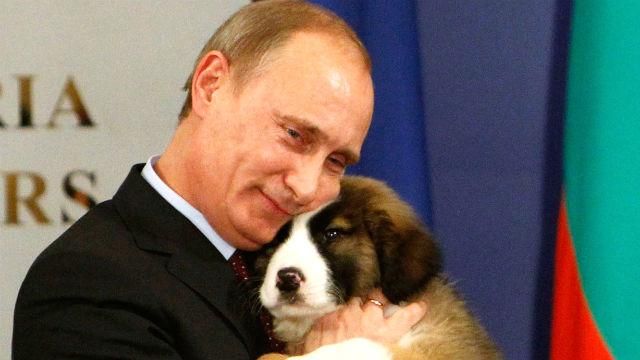 Эксперт объяснила, почему Путин — не диктатор