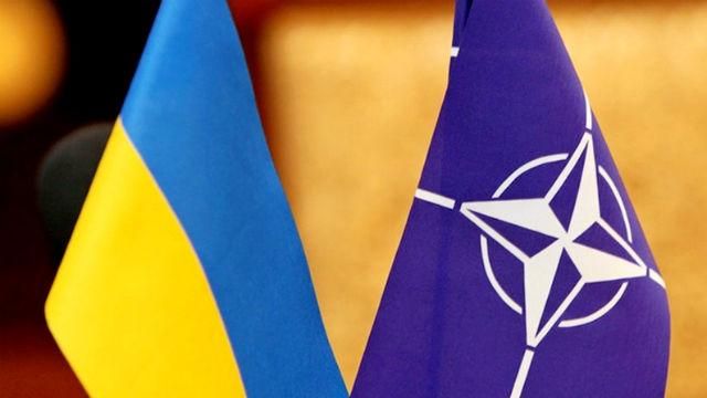 Украина и НАТО готовятся к совместной борьбе Украина и НАТО готовятся к совместной борьбе