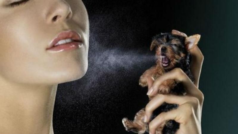 Вскоре мир узнает, чем пахнет Россия Вскоре мир узнает, чем пахнет Россия