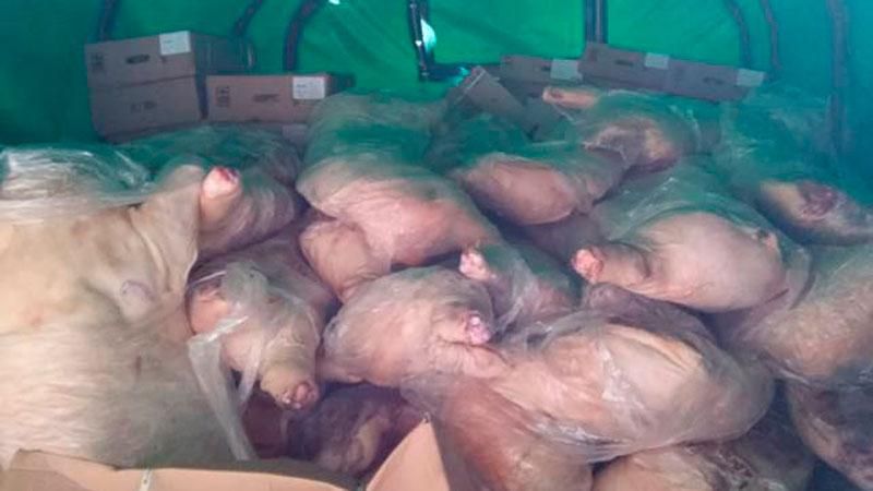 Український комбат намагався нагодувати терористів м’ясом Український комбат намагався нагодувати терористів м’ясом