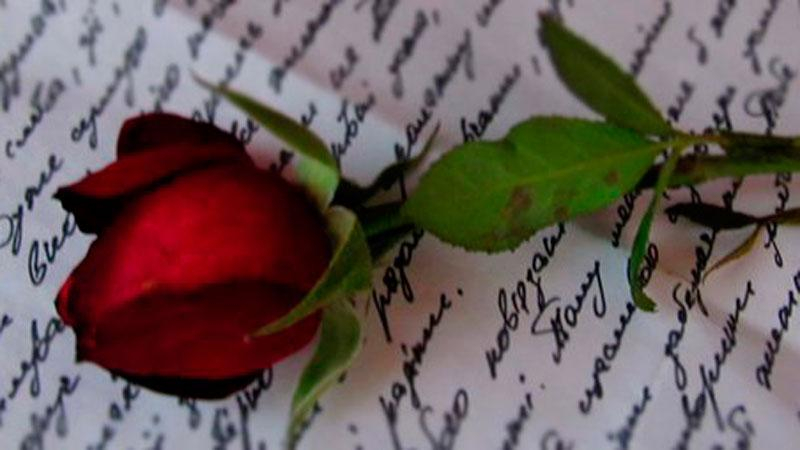 Фото дня: удивительная история розы с фронта