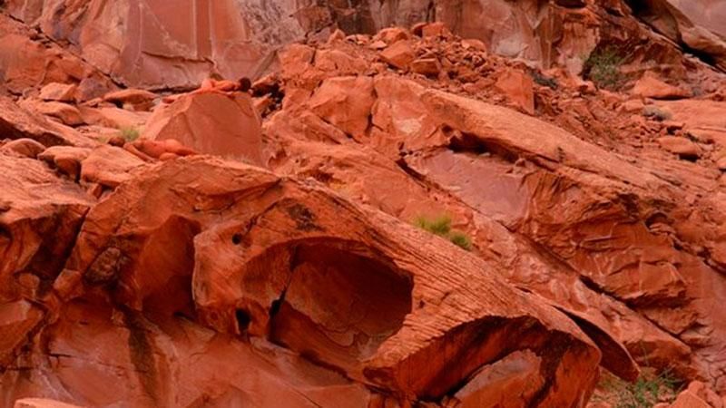 Найди обнаженную девушку на лоне природы: невероятный фотопроект Найди обнаженную девушку на лоне природы: невероятный фотопроект