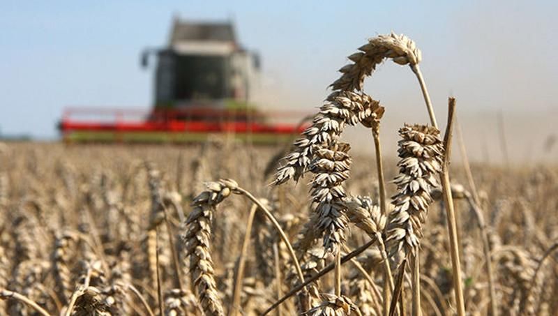 Податкові пільги для великих сільгоспвиробників вбивають українське село, — аграрій