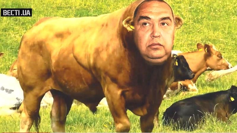 Бойовики взялись рахувати диких тварин Бойовики взялись рахувати диких тварин