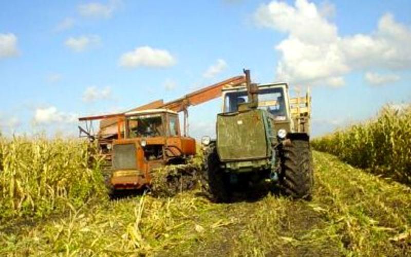 Як виживають сільгоспвиробники у зоні АТО?