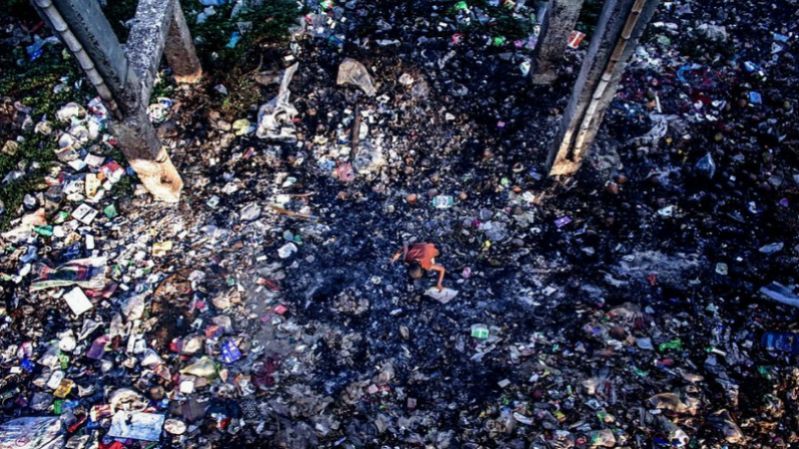 Лучшие фотографии конкурса Environmental Photographer of the Year Лучшие фотографии конкурса Environmental Photographer of the Year