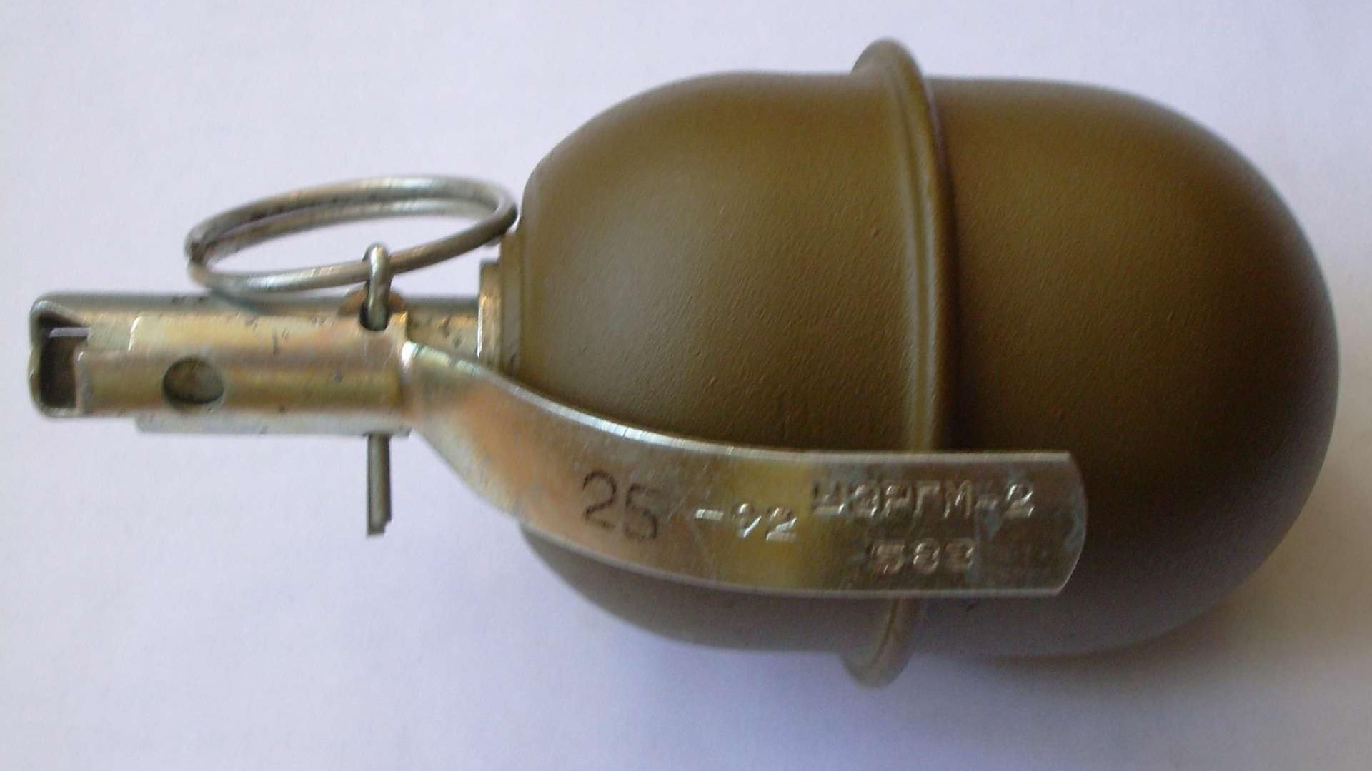 Депутату бросили гранату во двор в Киевской области Депутату бросили гранату во двор в Киевской области