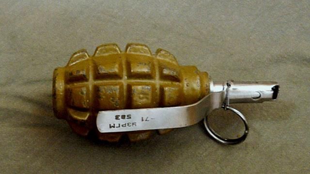 Сумасшедший с гранатой угрожал взорвать двор своего дома Сумасшедший с гранатой угрожал взорвать двор своего дома