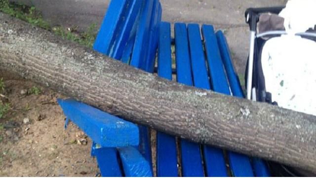 На женщину с младенцем упало дерево: они в тяжелом состоянии На женщину с младенцем упало дерево: они в тяжелом состоянии