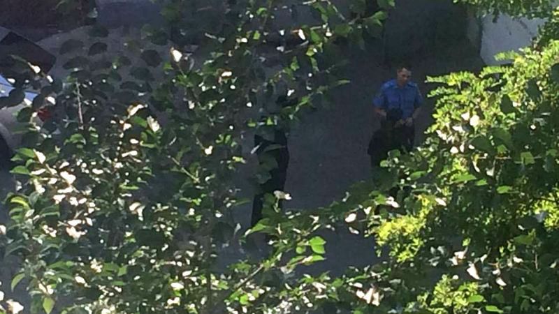 Новая полиция до слез довела любимую Антона Мухарского Новая полиция до слез довела любимую Антона Мухарского