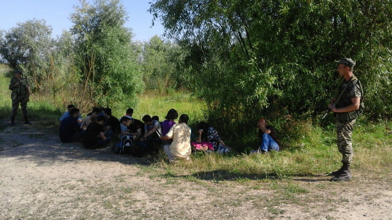 Прикордонники затримали одну з найбільших груп незаконних мігрантів Прикордонники затримали одну з найбільших груп незаконних мігрантів