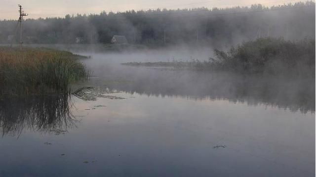 На озере в Северодонецке утонул ребенок