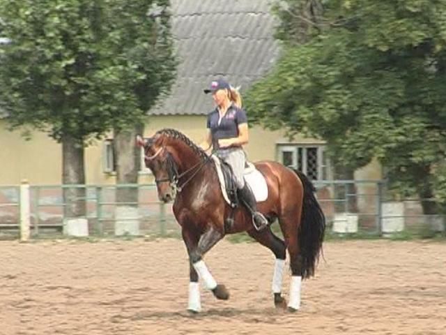 Уникальное госпредприятие "Коневодство Украины" — в списке приватизации Уникальное госпредприятие "Коневодство Украины" — в списке приватизации