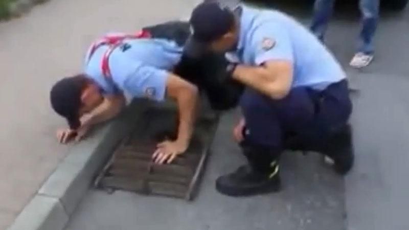 Полицейские пришли на помощь маленьким утятам Полицейские пришли на помощь маленьким утятам