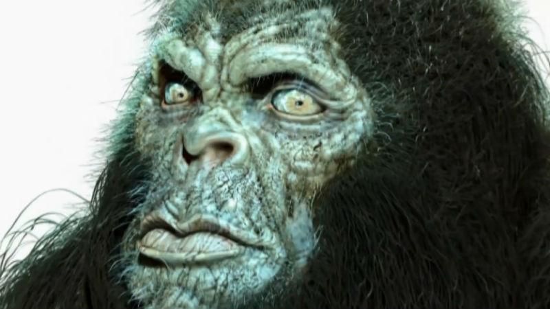 Снігова людина: прибулець, тварина чи нова форма життя Снігова людина: прибулець, тварина чи нова форма життя