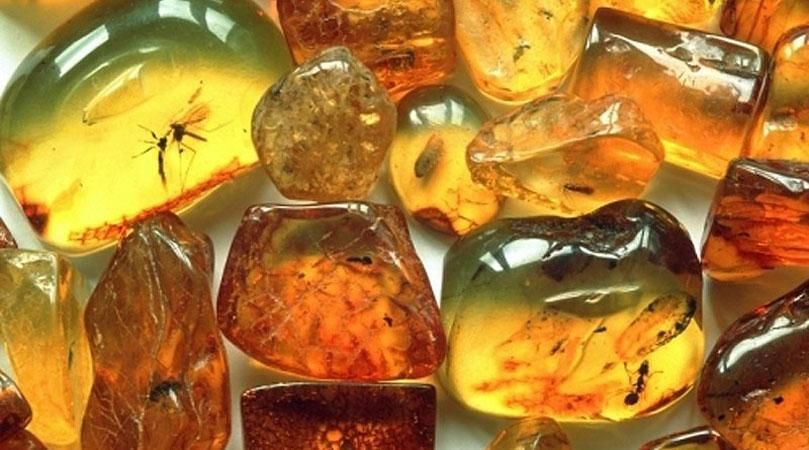 В Ровно милицию ограбили на 40 тысяч долларов В Ровно милицию ограбили на 40 тысяч долларов