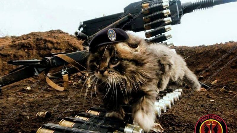 Трогательная подборка меньших защитников с зоны АТО Трогательная подборка меньших защитников с зоны АТО