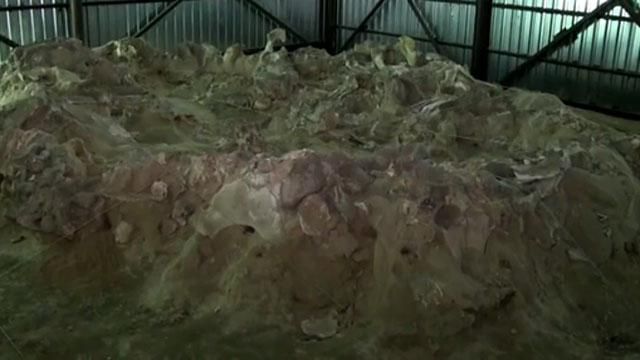 В Черкасской области приходит в упадок уникальный доисторический хутор охотников на мамонтов