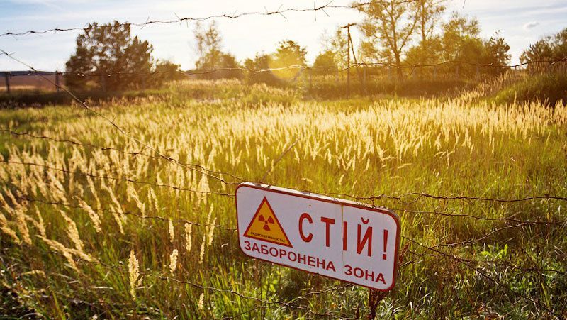 56 пожарных тушат торф в чернобыльских лесах 56 пожарных тушат торф в чернобыльских лесах