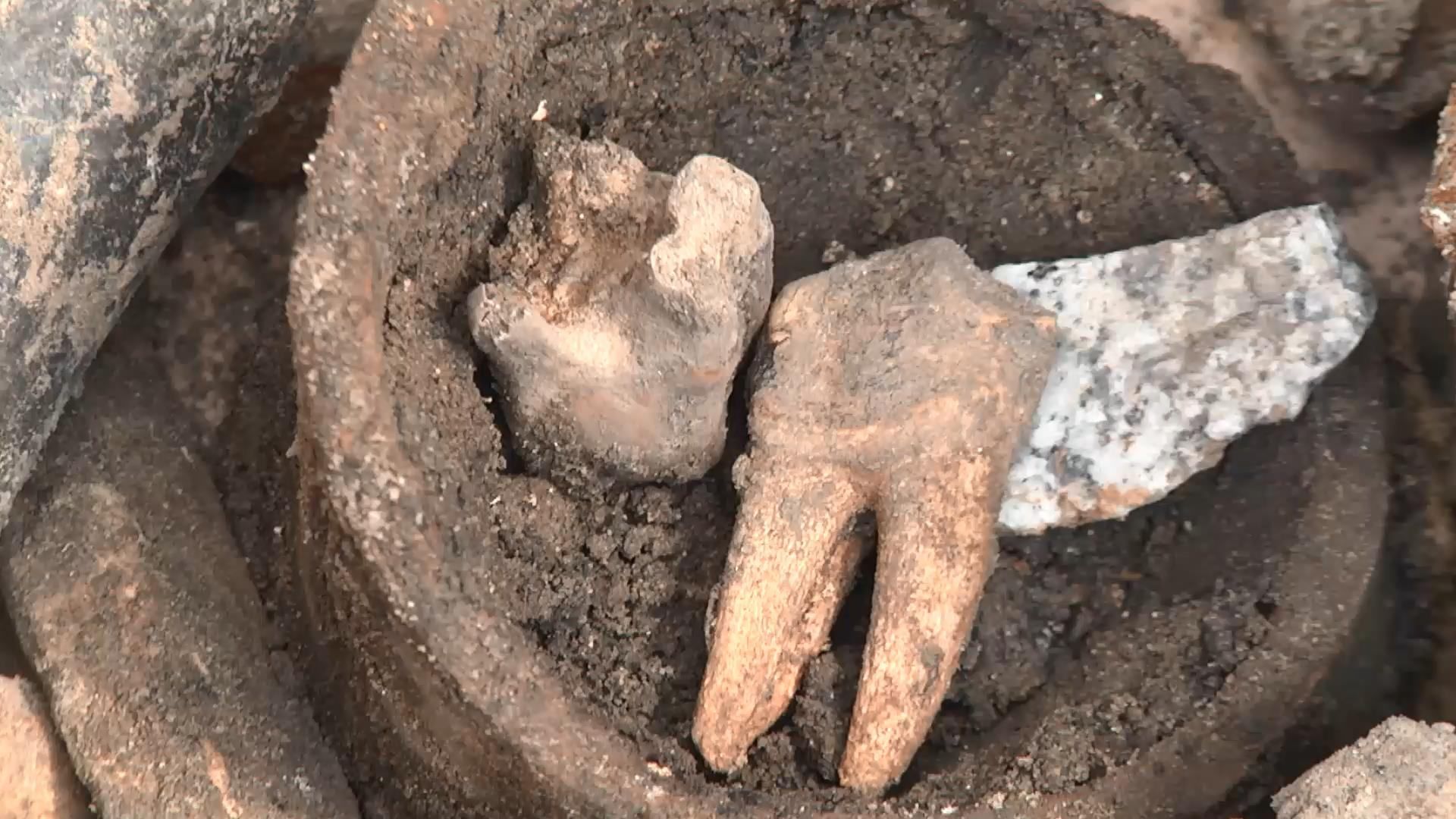 На месте массовых расстрелов во Львове отыскали человеческие останки
