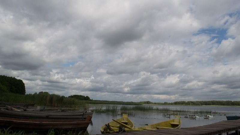 На Волыни туристов завалило деревьями На Волыни туристов завалило деревьями