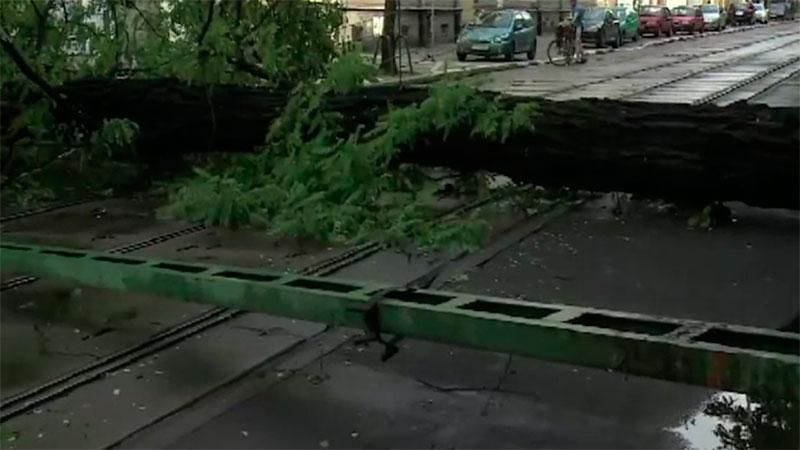 Мощный ураган прокатился по Польше: есть жертва