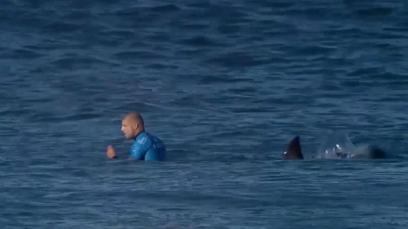Серфер-чемпіон ногами відчайдушно відбив напад акули