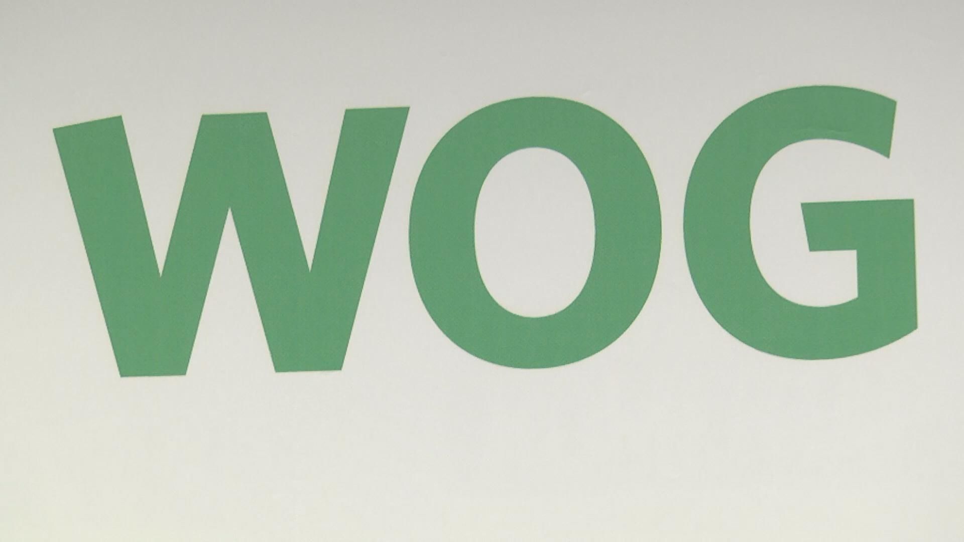 В Києві презентували проект "Працьовита Україна разом з WOG" В Києві презентували проект "Працьовита Україна разом з WOG"