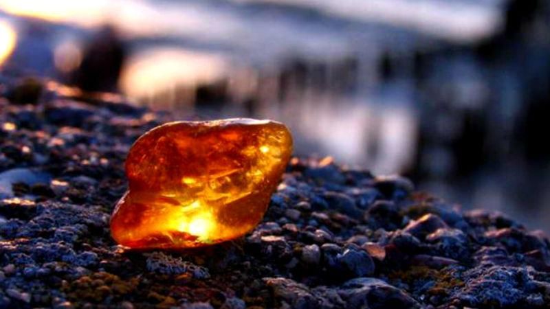 Борьба с "янтарной лихорадкой" продолжается в Житомирской области Борьба с "янтарной лихорадкой" продолжается в Житомирской области